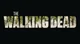Walking dead Rp