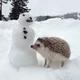 Hedgehog 
