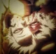 MHA Bakugo Katsuki