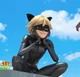 Cat Noir
