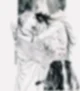 Chert