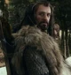 Thorin Oakenshield 