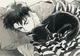 Ushijima wakatoshi