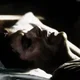 DEAN WINCHESTER