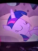 Princess twilight 
