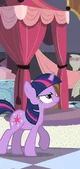 Princess twilight 