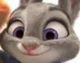 Judy
