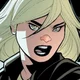Terra Markov