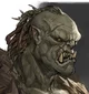 Orc