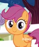 Scootaloo