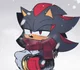 Shadow The Hedgehog