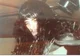 Baron Peter Steele