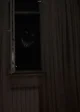 Entity
