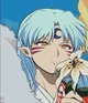 Sesshomaru 