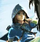 Botw Link
