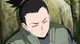 Shikamaru Nara
