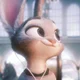 Judy