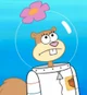 Sandy Cheeks