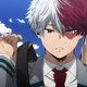 Shoto Todoroki 