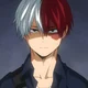 Shoto Todoroki 