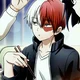 Shoto Todoroki 