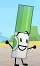 Marker BFDI