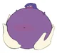Blueberry Incident