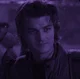Steve Harrington 