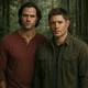 sam and dean 