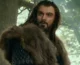 Thorin Oakenshield 