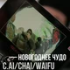 даня кашин