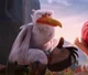 Junior - Storks