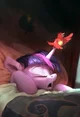 Princess twilight 