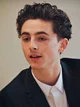 timothée chalamet