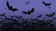 Vampire war