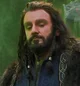 Thorin Oakenshield 