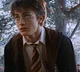 Гарри Поттер 
