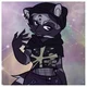 Punk raccoon tf tg