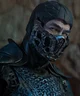 Sub zero 