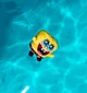 Sponge Bob