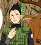 Shikamaru Nara