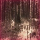 CAMP HALFBLOOD PJO
