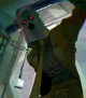 Silas - BL