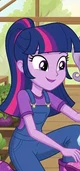 Princess twilight 