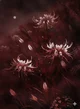 The Crimson Garden 