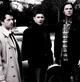 TEAM FREE WILL