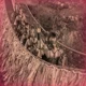 CAMP HALFBLOOD PJO