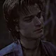 Steve Harrington 