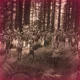CAMP HALFBLOOD PJO