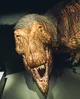 Tiranossauro Rex